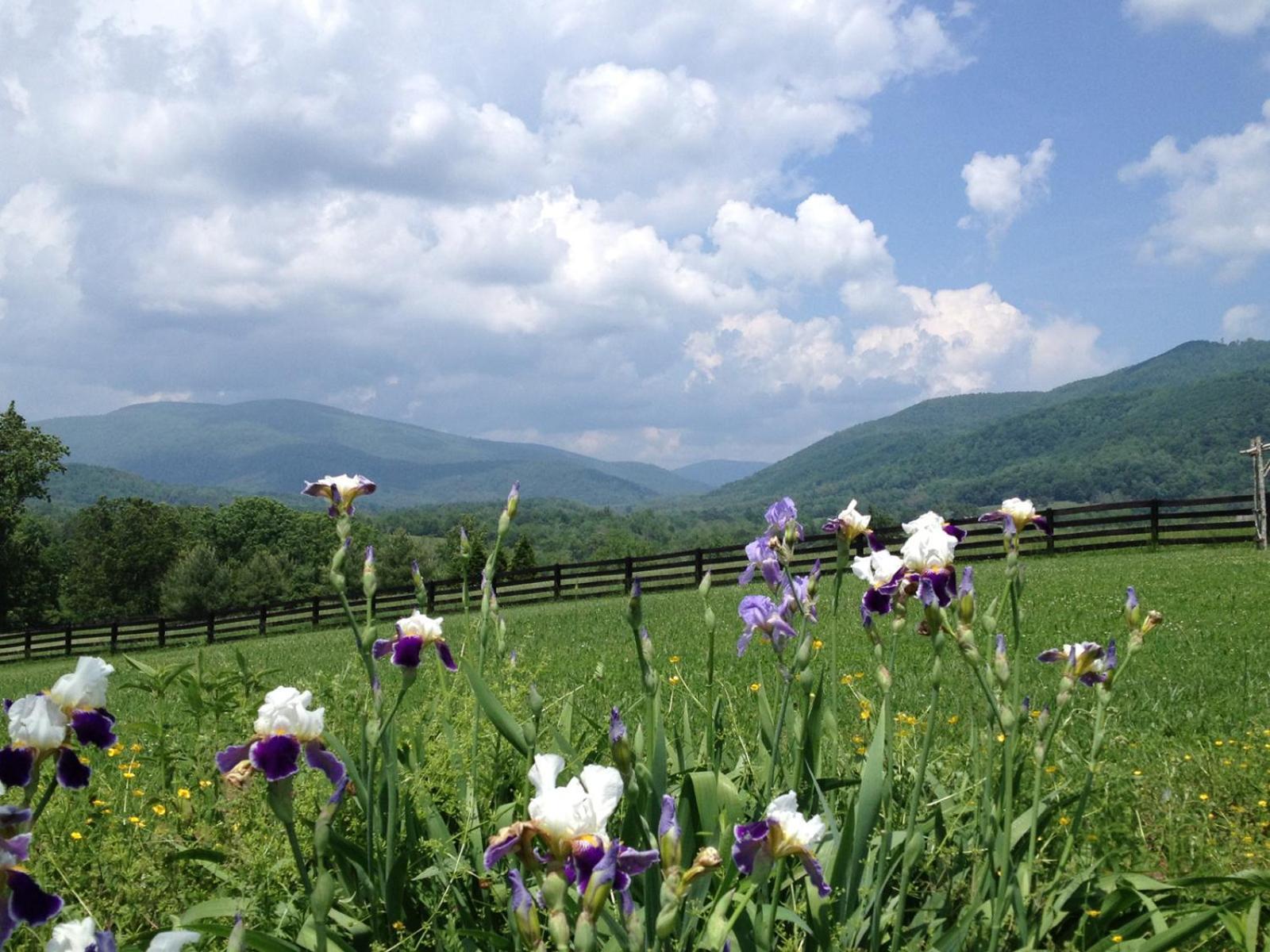 Montfair Resort Farm Crozet Room photo