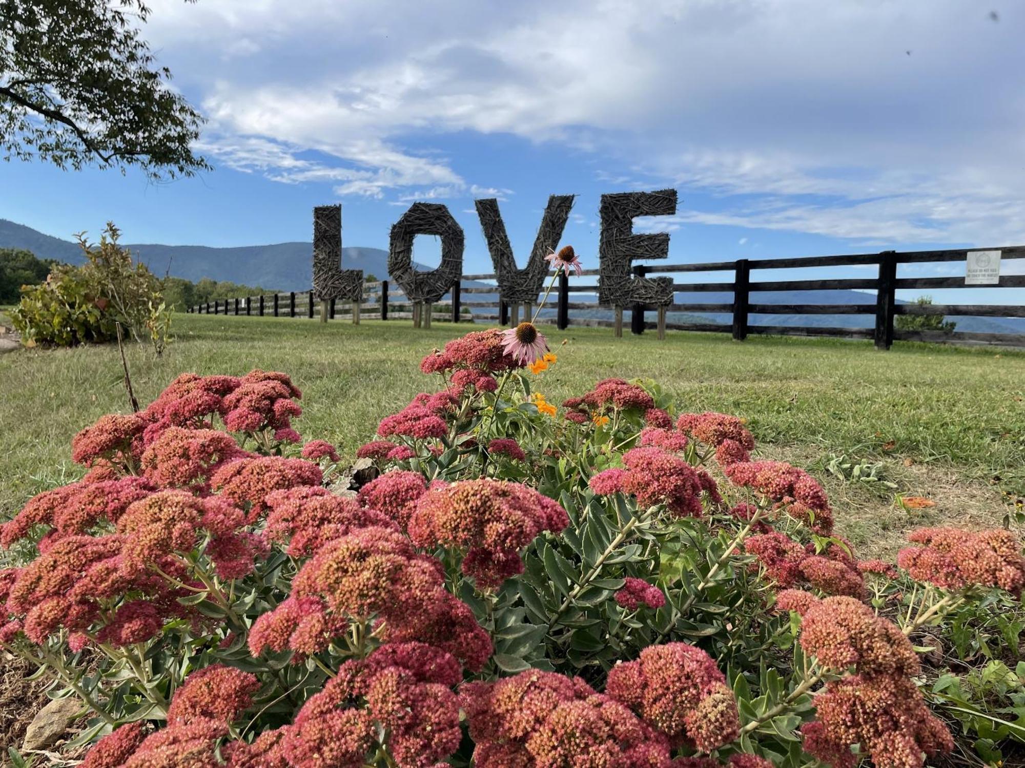 Montfair Resort Farm Crozet Room photo